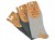 b743ccc8181162be915a91d2d5ae42e8